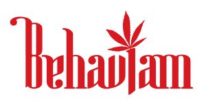BEHAVIAM CRÉATION DE LOGO CORPORATIF PAR JÉRÉMIE LACASSE GRAPHISTE