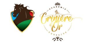 LA CRINIERE D’OR CRÉATION DE LOGO CORPORATIF PAR JÉRÉMIE LACASSE GRAPHISTE