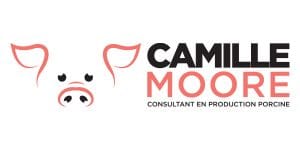 CAMILLE MOORE CRÉATION DE LOGO CORPORATIF PAR JÉRÉMIE LACASSE GRAPHISTE